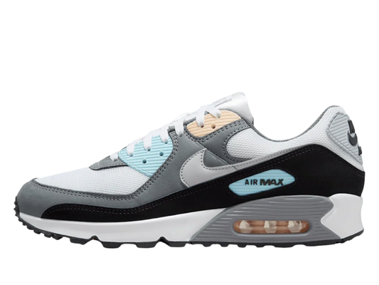 Nike Air Max 90 'Cool Grey & Pure Platinum'