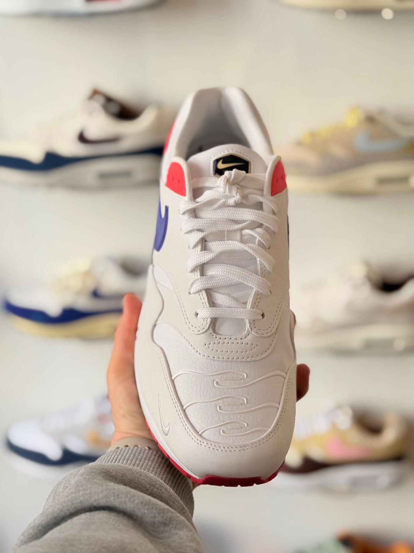 Nike Air Max 1 'Evolution of Icons'
